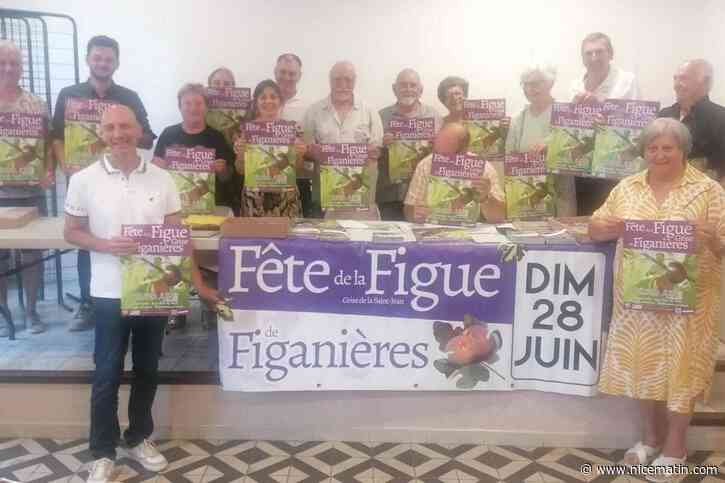 Marché des créateurs, stands de dégustation, fête de quartier... : cette commune près de Draguignan célèbre la troisième édition de la fête de la figue grise