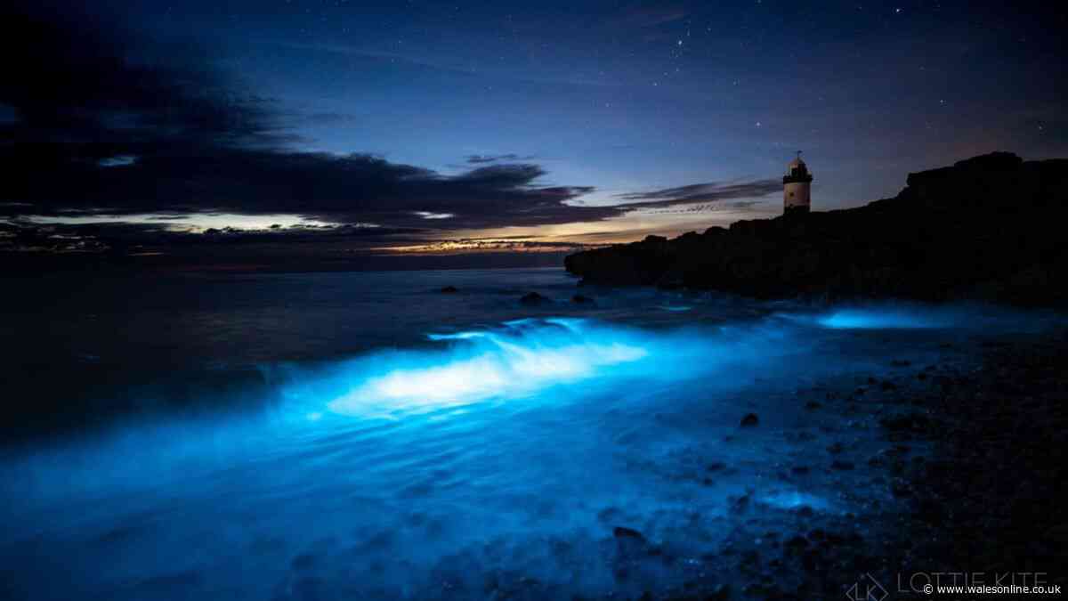 Incredible sight as sea turns a mystical blue off Welsh coast