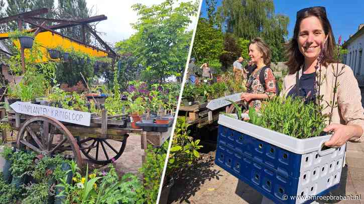 Van kliko naar tuin: zo geeft deze kringloop planten een tweede leven