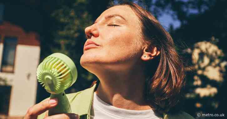 Aldi has a £14.99 ‘genius’ aircon equivalent to keep cool during the heatwave