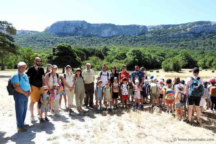 Découverte de la biodiversité, ateliers des senteurs, étude du plateau calcaire... : les visites scolaires de la célèbre forêt de la Sainte-Baume font le plein