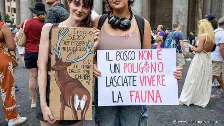 Ddl Caccia, null’altro se non una marchetta al mondo venatorio