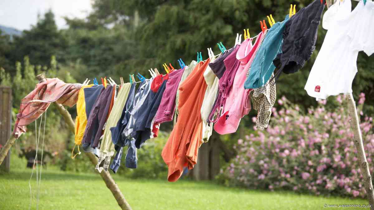 Enzymes explained - why they are so good for your washing