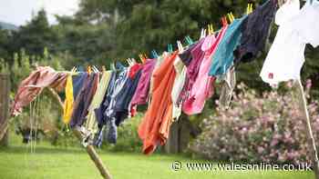 Enzymes explained - why they are so good for your washing