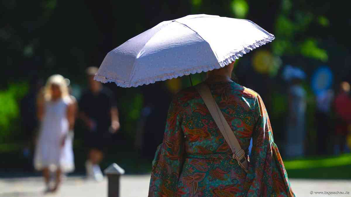 Temperaturrekord in Deutschland gemessen - 41,3 Grad in Saarbrücken