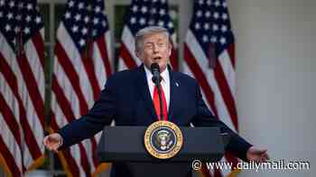 Trump lashes out at Iran for 'foolishly' violating fragile ceasefire after drone attack on ally cargo ship