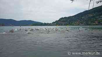 Über 200 Schwimmer starten beim Alpen Open Water Cup am Tegernsee