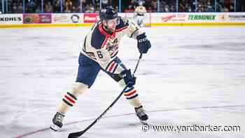 Luke Prokop Interview: The Hockey Player Documentary Preview