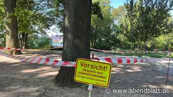 Absperrung an Hamburger Aussichtspunkt: Hier wütet der Eichenprozessionsspinner