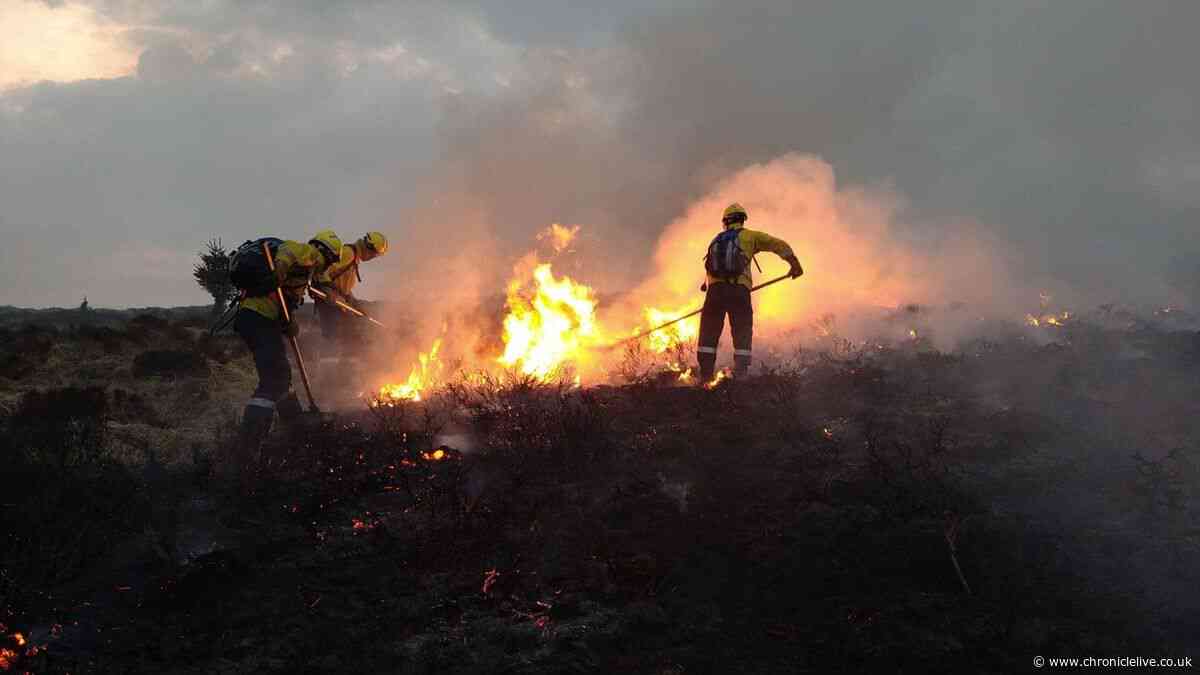 Northumberland fire service selected as national wildfire response team