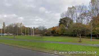 Man attacked by pitbull-type dog in Pallister Park