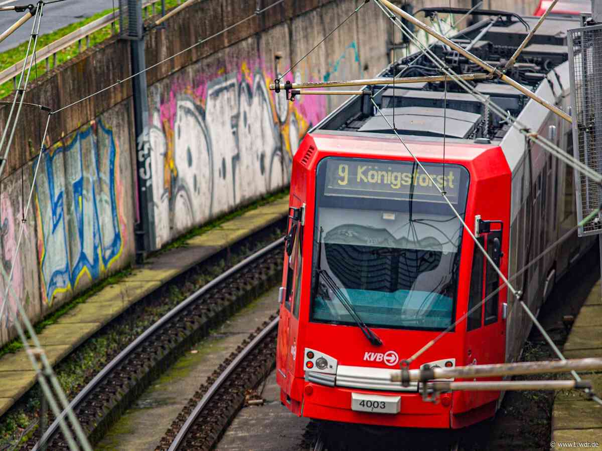 Die "Kunst" des Schadens