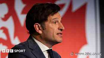 FAW chief expects Bellamy to remain Wales boss
