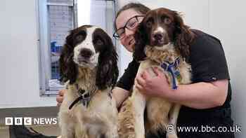 'Overwhelming' support helps RSPCA shelter stay open