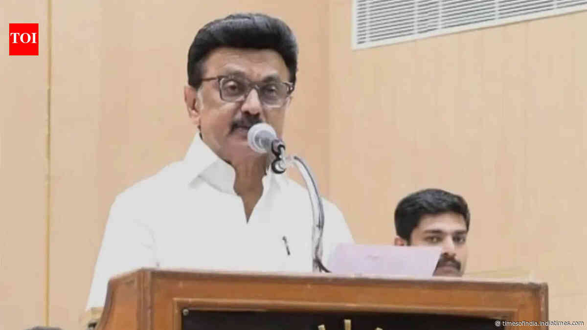 'No decision yet': MK Stalin on contesting bypoll amid Trichy East buzz