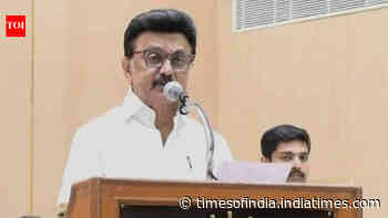 'No decision yet': MK Stalin on contesting bypoll amid Trichy East buzz
