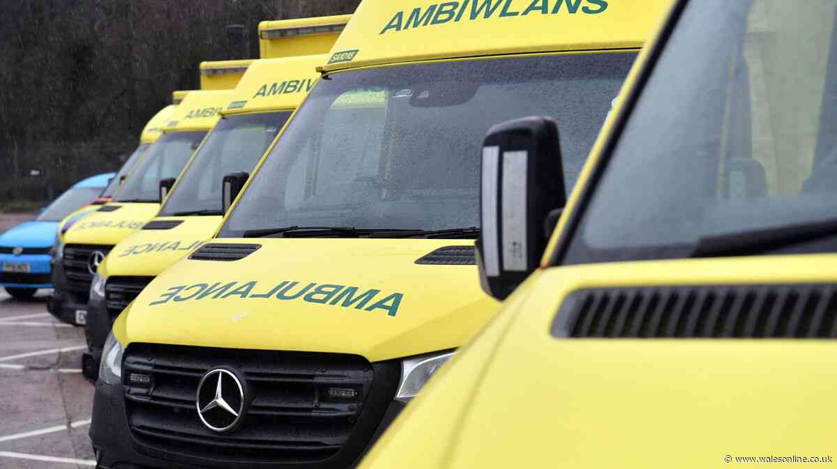 Welsh Ambulance declares critical incident after 400 more calls a day during heatwave