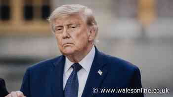 Trump threatens new '100% TARIFFS' on any country that stands up to big tech