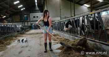 In de Peel is de natuur er slecht aan toe en rouwen boeren nu al om hun land. Wat gaat het stikstofpakket betekenen?