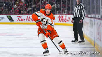 Ducks Trade Zellweger to Sabres for Wahlberg and Second-Round Pick
