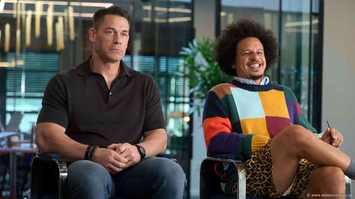 How many brothers does John Cena have and what do they do?