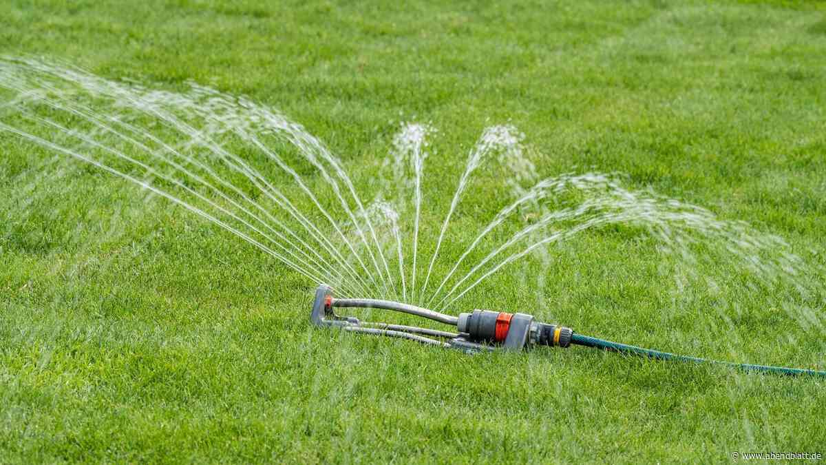 Hitzewelle im Norden: Nahe Hamburg wird das Trinkwasser knapp