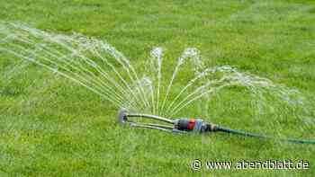 Hitzewelle im Norden: Nahe Hamburg wird das Trinkwasser knapp