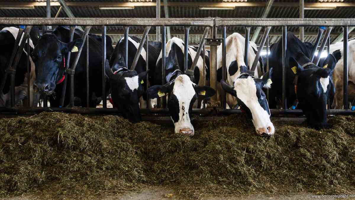 Provincie is blij met 'stevig' pakket maatregelen rondom stikstof