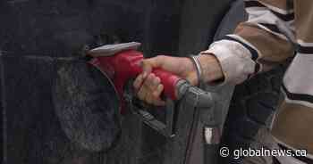 Oil prices plummet on hopes of increased supply, high gasoline prices persist