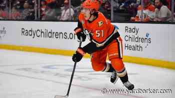 Sabres acquire Zellweger from Ducks for Wahlberg, draft pick