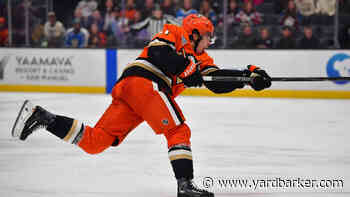 Buffalo Sabres Acquire Olen Zellweger from Anaheim Ducks