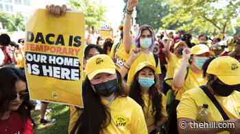 DACA renewal delays under Trump spark lawsuit