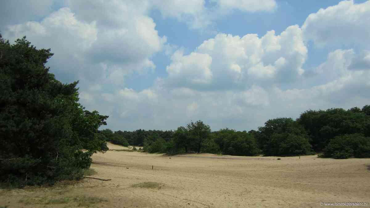 Extra maatregelen rond veertien Brabantse natuurgebieden in plannen kabinet