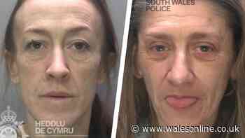 Woman passenger heard phone ring in back of van and realised she was in trouble