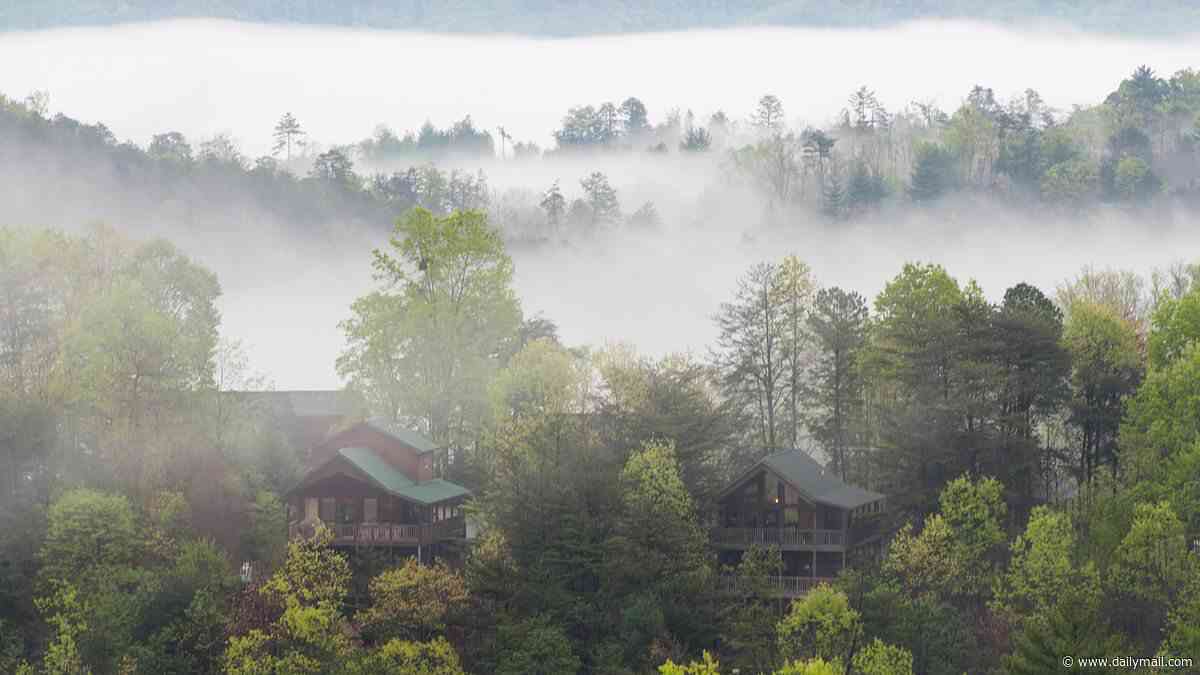 I saw unreleased UFO files at a secret meeting in the Tennessee mountains. We prayed after seeing what these 'humanoid beings' did... the world is not prepared