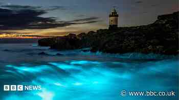 Sea 'sparkles' as bioluminescent plankton turn waves electric blue