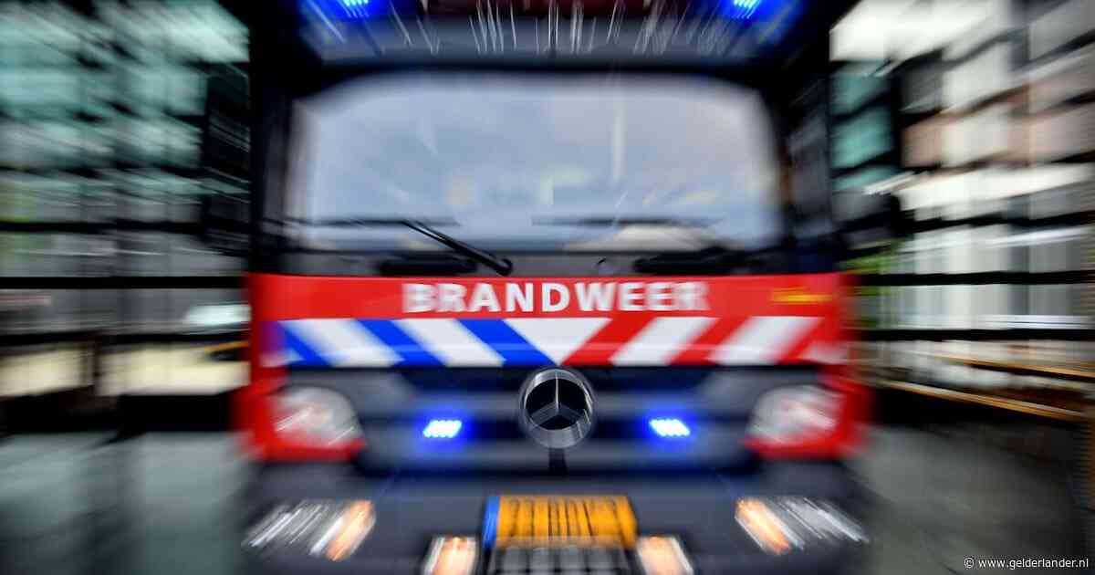 Persoon te water  in Elst