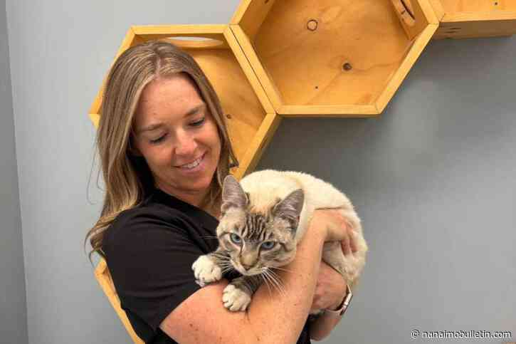 ‘Phenomenal’ Salmon Arm veterinarian awarded for elevating standard in community care