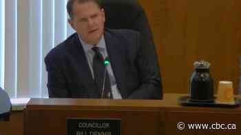 Sarnia councillor and mayoral hopeful must pay $33K to Children's Aid Society leader he called a 'grifter'