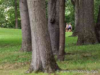 Summer park walking series promotes sisterhood, wellness