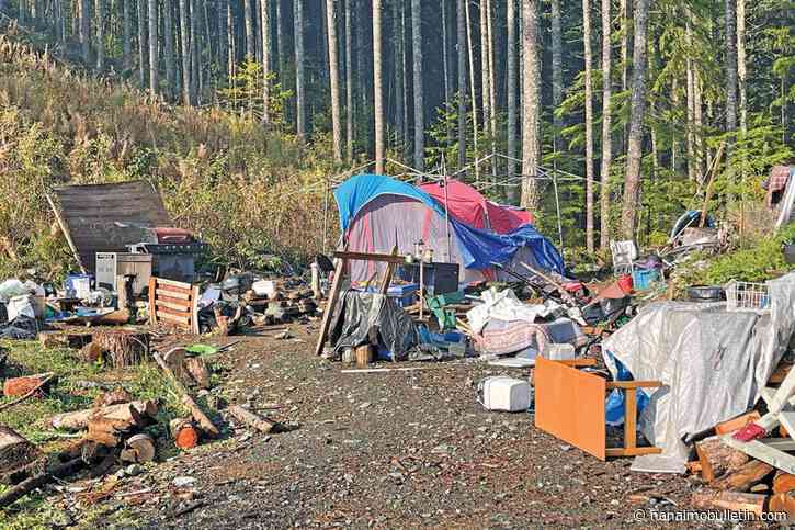 Town of Ladysmith calls for provincial help to curb ‘escalating crisis’ in watershed