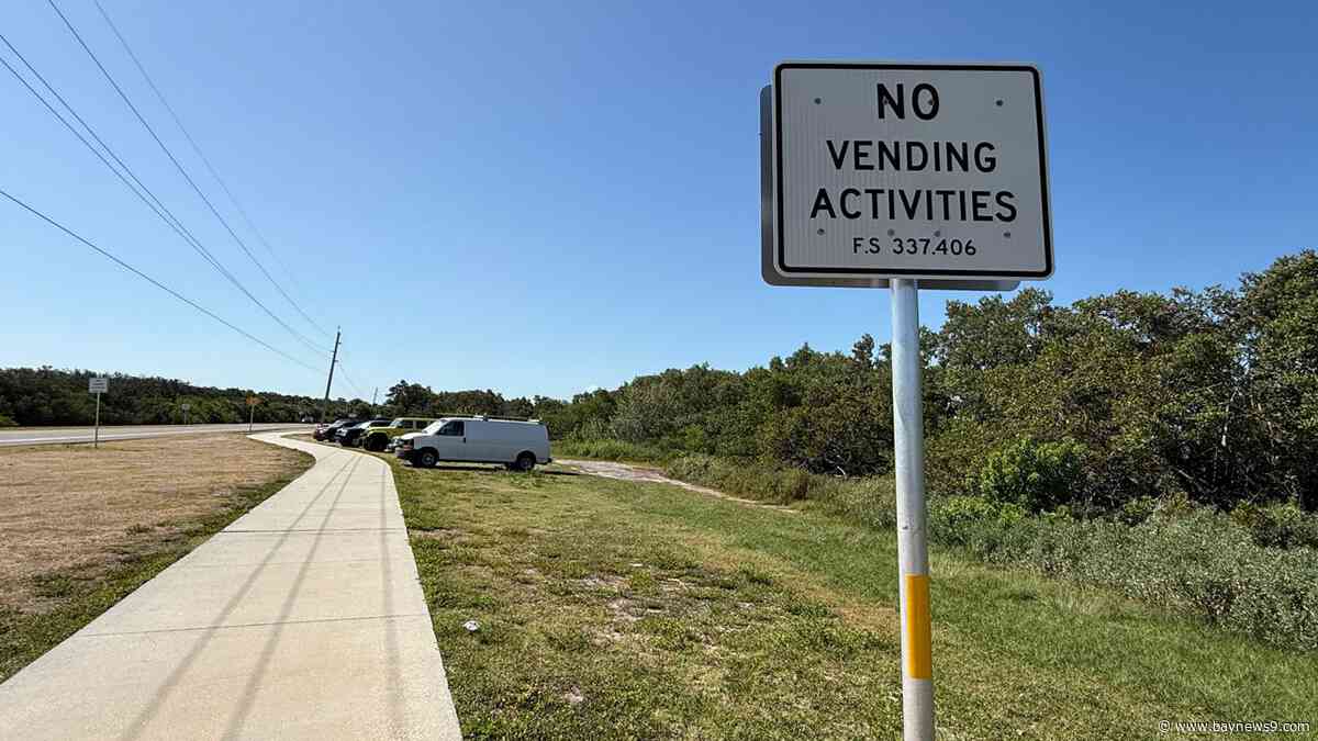 Guided kayak tours stopped at Pinellas Bayway South