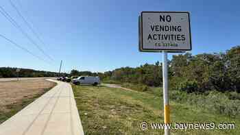 Guided kayak tours stopped at Pinellas Bayway South