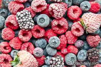 The Surprising Reason Frozen Fruit May Be Just As Nutritious as Fresh