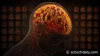17,000 Brain Scans Reveal Surprising Ethnic Differences in Alzheimer’s Biology