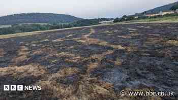 Heatwave blazes prompt fire service warning