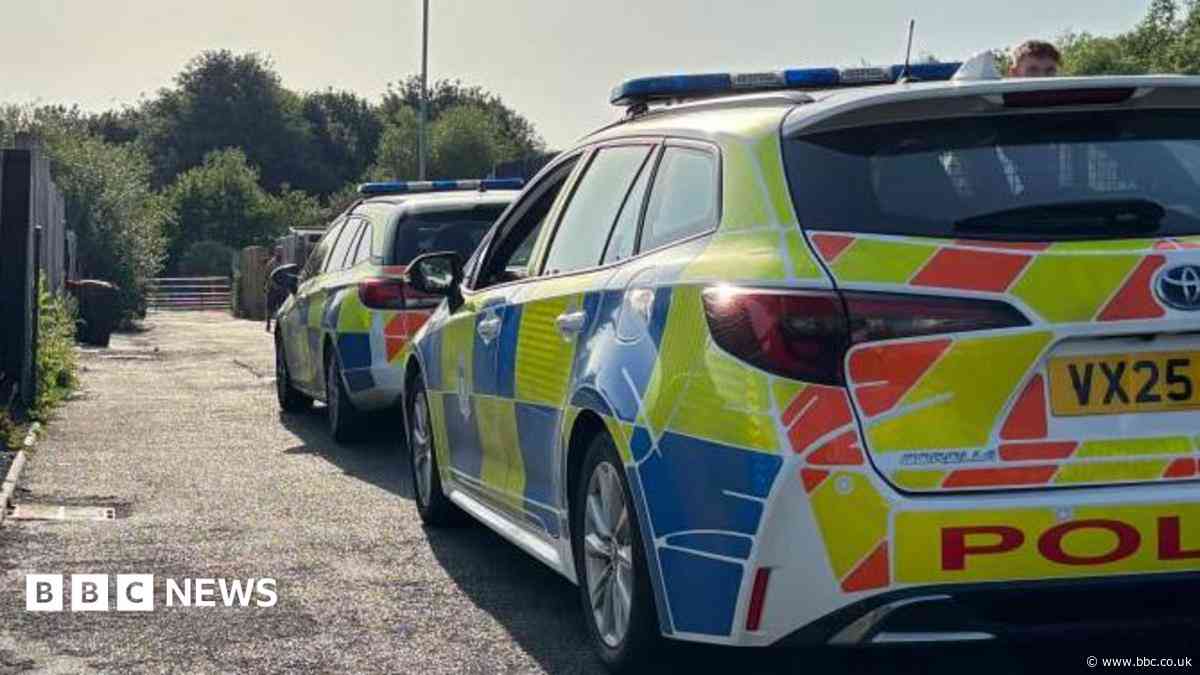 Seven arrested in organised crime crackdown