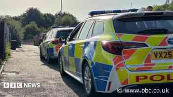 Seven arrested in organised crime crackdown