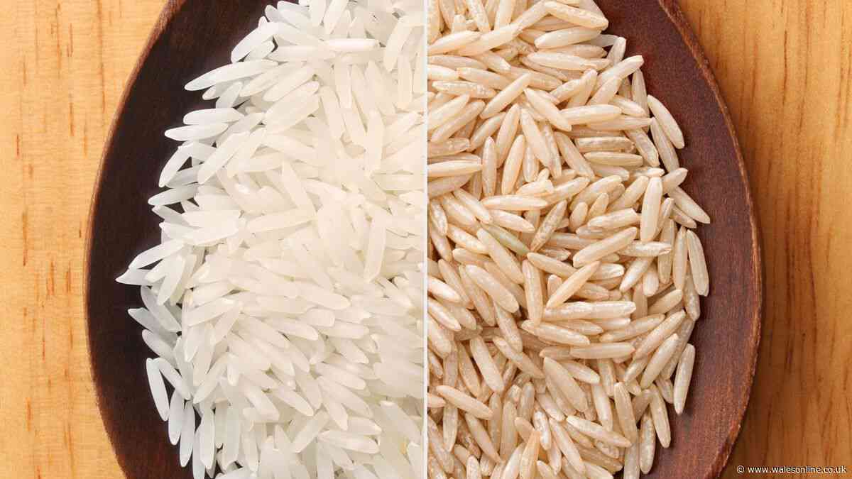 Difference between white and brown rice — and how health benefits vary