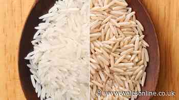 Difference between white and brown rice — and how health benefits vary